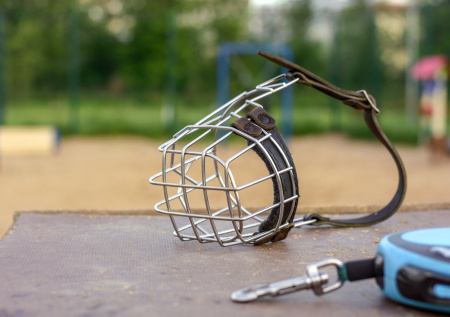 Неизвестные украли немецкого ягдтерьера в Подмосковье