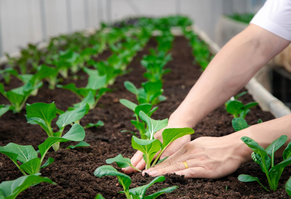 Что можно делать 8 апреля?