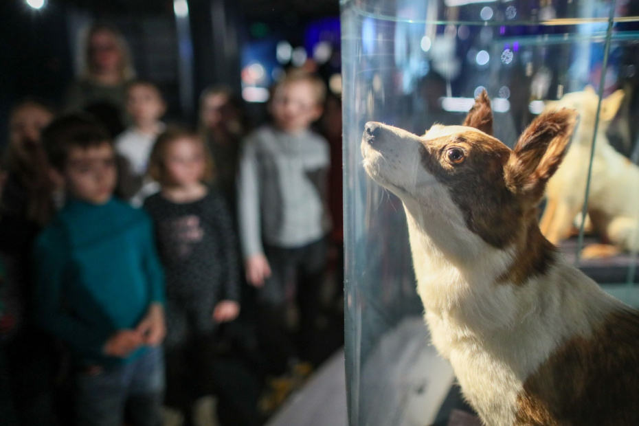 Еда в космосе: меню Лайки