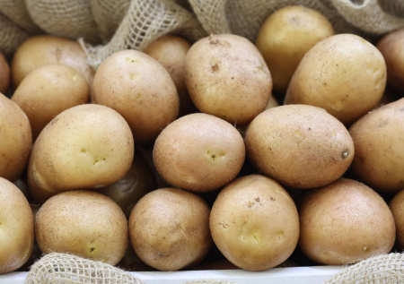 В Нижегородской области планируют вырастить 412 тыс. тонн картофеля