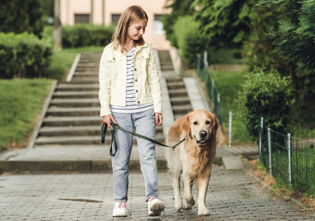 Составлен список возможных заработков для подростков с 12 лет