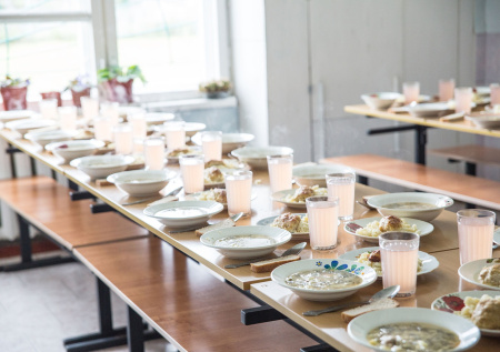 В ГД предложили новые правила выдачи льготного питания детям участников СВО