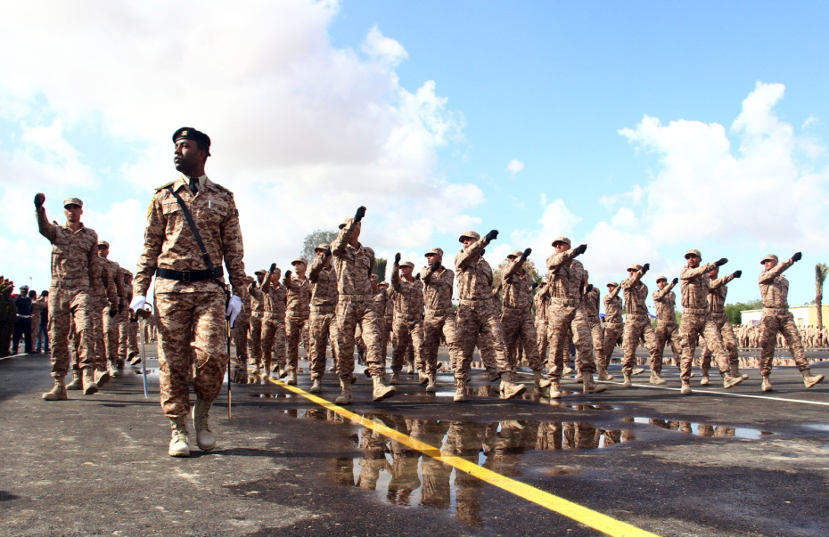 Ливийская национальная армия