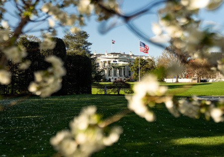 Американист оценил шанс демократов выкинуть Трампа из Белого дома