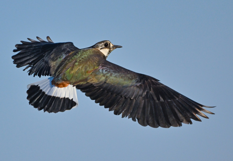 Приметы 9 апреля