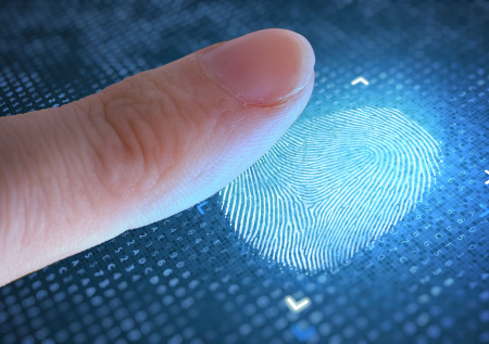 Названо число добровольно сдавших биометрию россиян