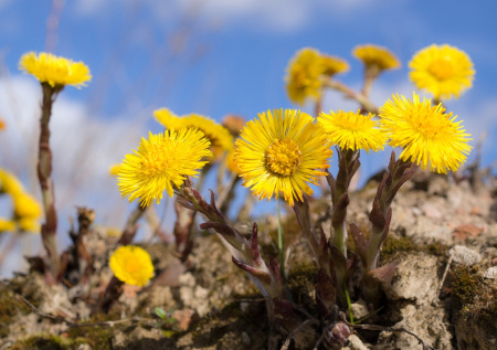 Приметы 10 апреля — Иларион Выворотень, Страстная пятница: бережем здоровье
