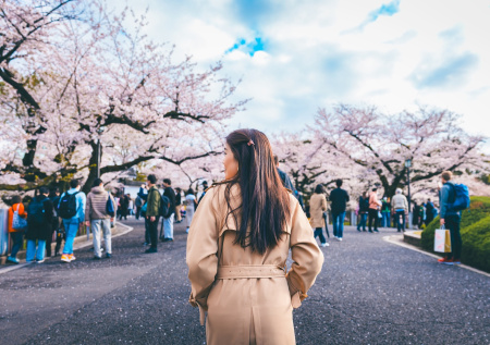 Японец укусил знакомую под цветущей сакурой и умер