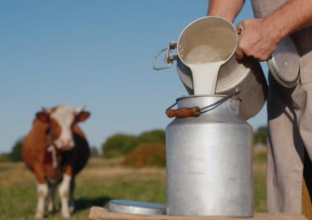 Молоко во сне: от изобилия до упущенных шансов — полное толкование