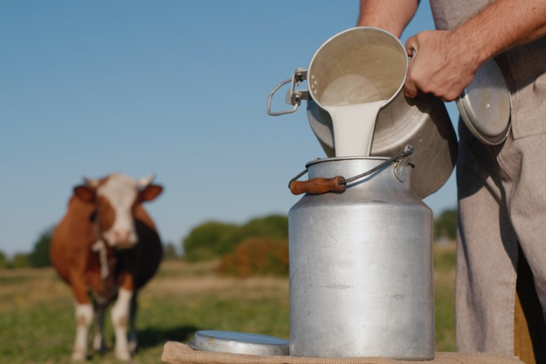 Молоко во сне: от изобилия до упущенных шансов — полное толкование