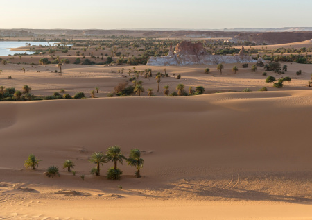 Названы причины, почему Африка отвернулась от Франции в пользу России