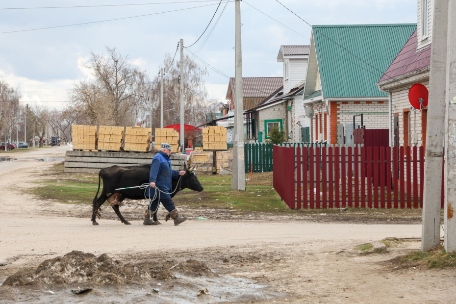 Ситуация на месте подтопления из-за разлива реки Оки в селе Заокское в Рязанской области.