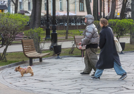 Москвичей предупредили о повторном похолодании во второй половине апреля