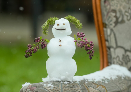 В Москве пошел первый апрельский снег