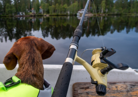 Росрыболовство допустило продление запрета на вылов воблы