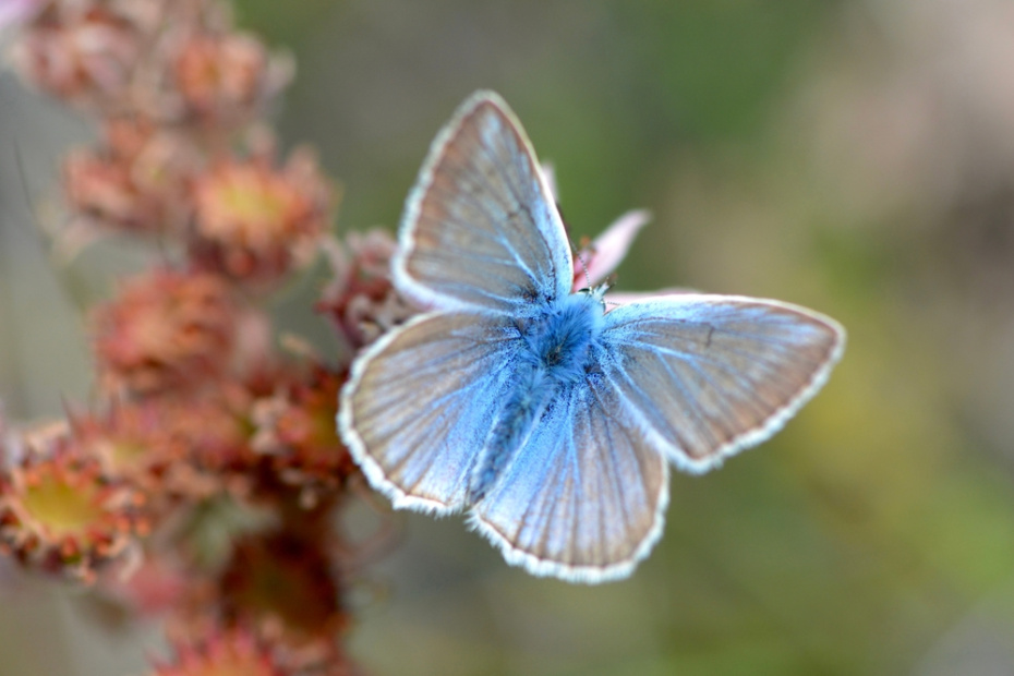 Какой сегодня день? Праздники и памятные даты 10 апреля 2026 года