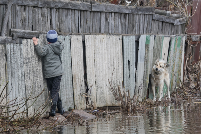 Ребенок с собакой на месте подтопления из-за разлива реки Оки в селе Заокское в Рязанской области.