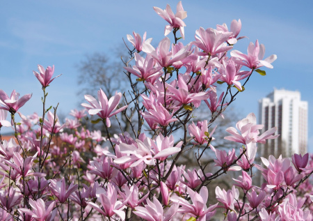 Какой сегодня день? Праздники и памятные даты 11 апреля 2026 года