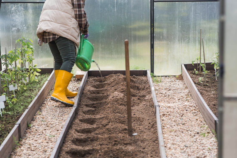 10 раннеспелых сортов перцев для теплиц и открытого грунта