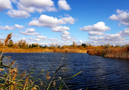 Уровень воды в реке Ишим стремительно приближается к критической отметке