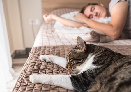 Сомнолог раскрыл, можно ли спать в одной кровати с питомцами