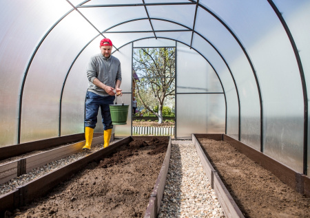 Биолог назвала неочевидное насекомое, которое можно выращивать в теплицах