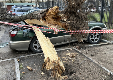 В российском регионе бушует мощный ураган