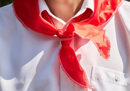 В Госдуме поддержали идею вернуть в школы пионеров и комсомольцев