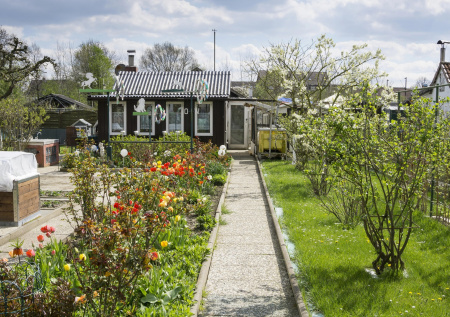 10 идей для благоустройства дачного участка: от зон отдыха до дорожек