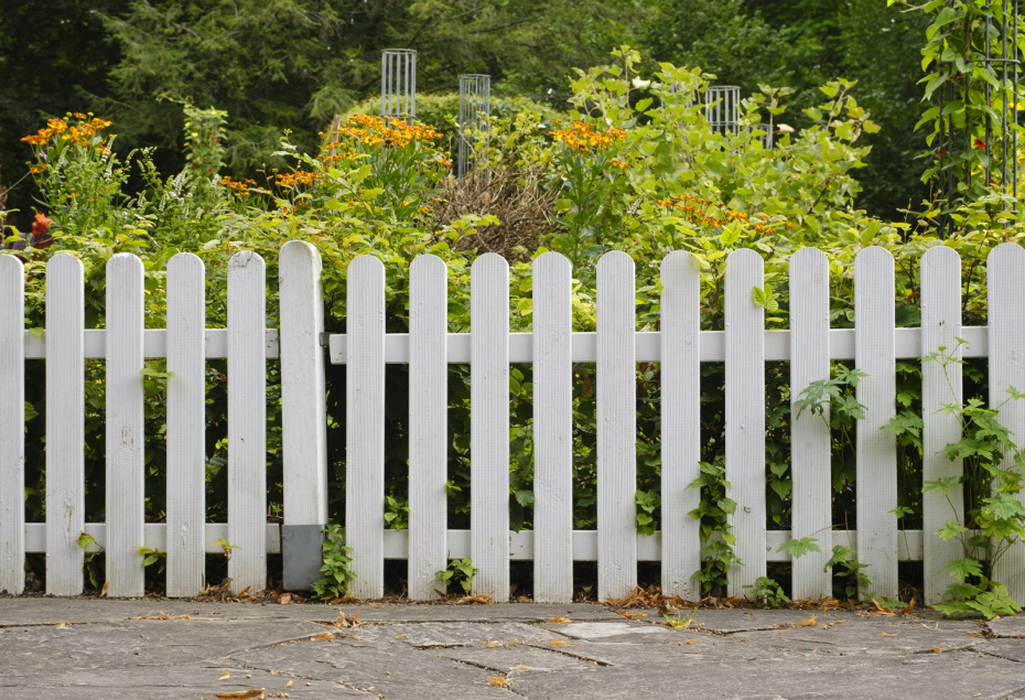 Зонирование участка: как разделить пространство без капитальных заборов