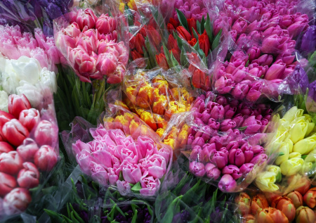 Читинцу вынесли приговор за мошенничество с тюльпанами на 500 тыс. рублей