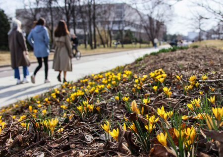 Синоптик рассказала, в каких регионах России будет теплее всего на выходных