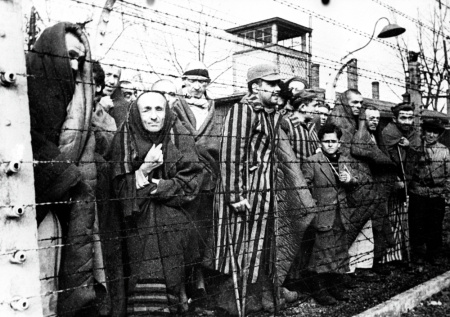 Рассекречены показания о казни 8 тыс. узников концлагеря «Травники»