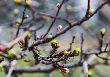 Синоптик раскрыл, окончательно ли Москва прощается со снегом