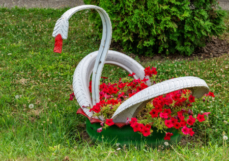 Россиян предупредили об уголовной ответственности за лебедей из покрышек