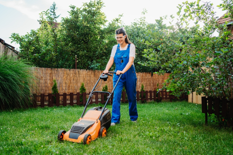 Подкормка газона: удобрения