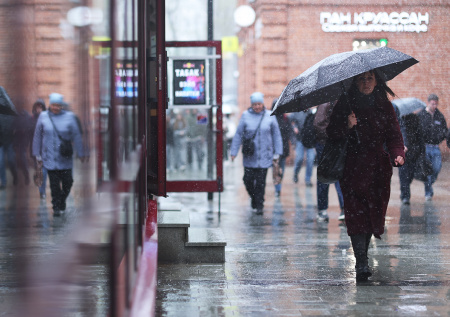 Пятая часть месячной нормы осадков выпала за сутки в Москве