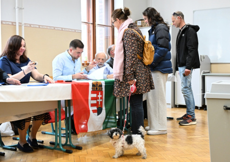 Явка на выборах в Венгрии составила 54% к середине дня