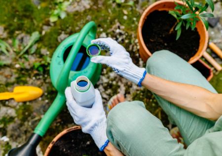 Прыскаю в огороде — муравьев и след простыл! Результат сразу! Простой работающий рецепт