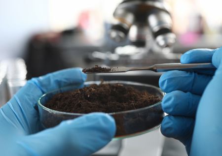 В российском регионе почва оказалась загрязнена опасными отходами