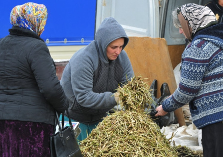 Россиянам назвали природный антибиотик
