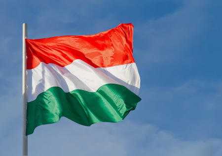 Выборы в Венгрии ночью 13 апреля: последние новости, победа оппозиции