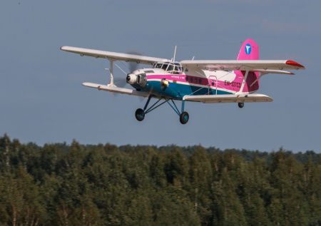 В России предложили вернуть в воздух 700 простаивающих «кукурузников»