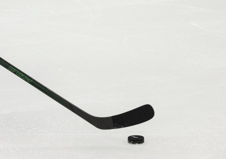 Определились все участники плей-офф НХЛ 2026 года