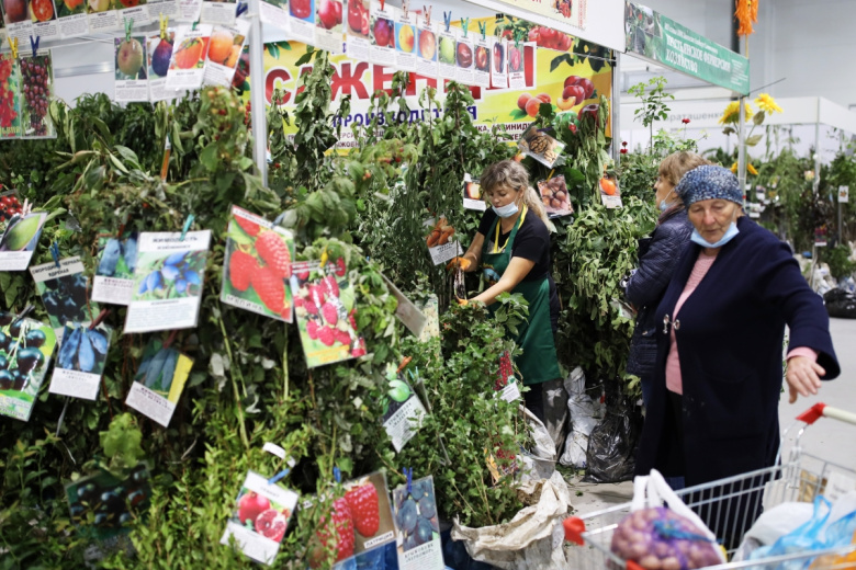 Как выбрать рассаду в садовом центре