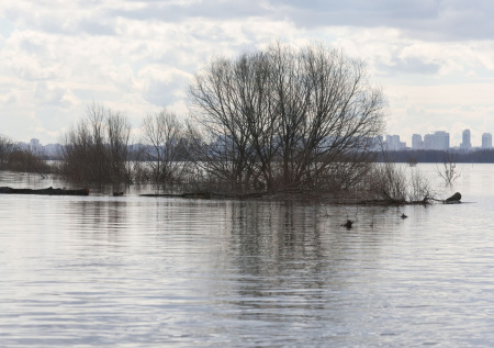 В Госдуме жестко высказались о прорыве дамбы в Дагестане