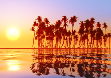 В РСТ назвали самые дорогие направления отдыха за рубежом