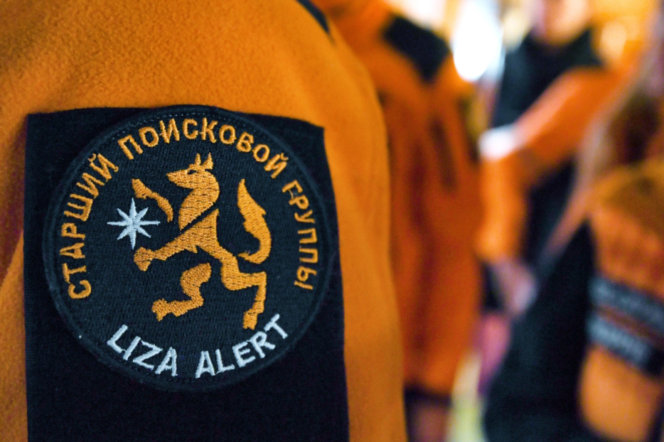 Шеврон поисково-спасательного отряда «ЛизаАлерт»