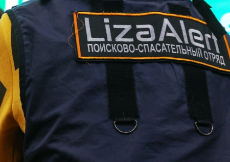 Обнародованы детали пропажи трехлетней девочки в Самарской области