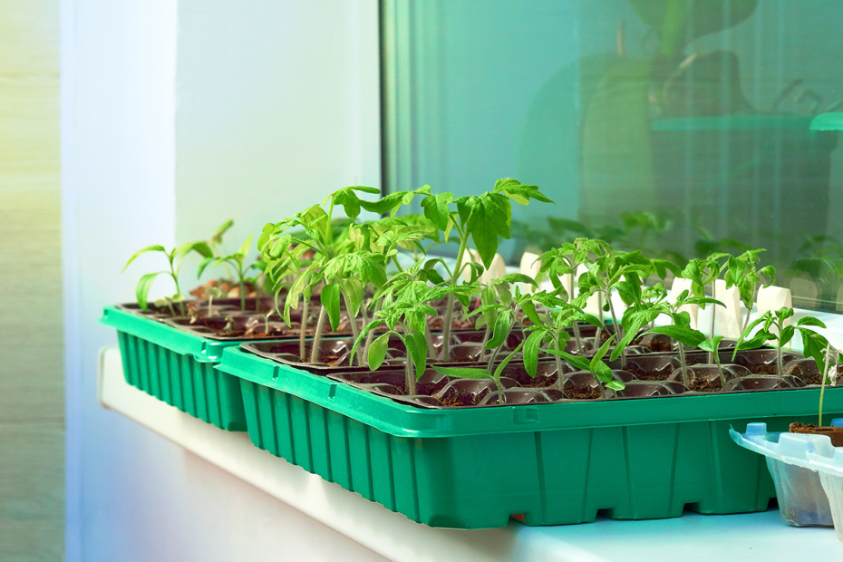 На какую температуру ориентироваться: на уличную или на балконную